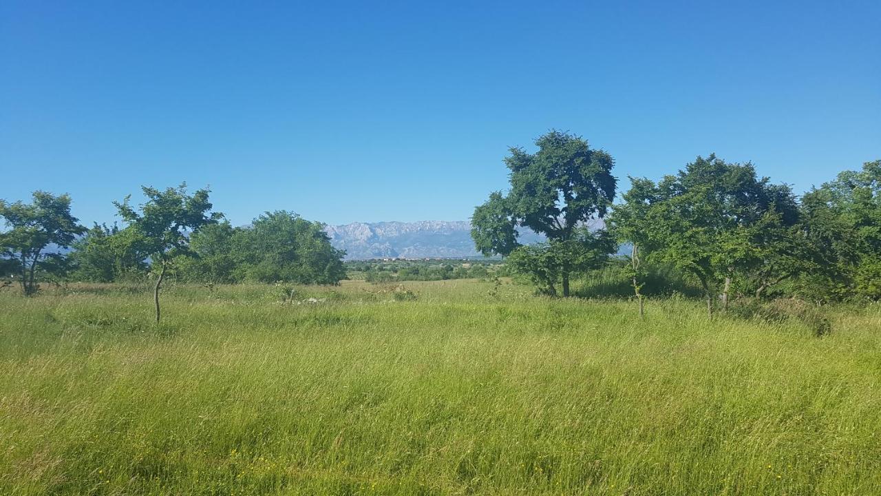 Savrsen Odmor U Villa Ivona Zadar Exterior foto